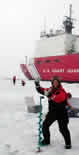 Seal-tagging group weighing a seal